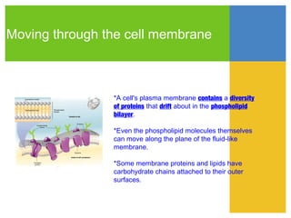 Moving through the cell membrane



                *A cell's plasma membrane contains a diversity
                of proteins that drift about in the phospholipid
                bilayer.

                *Even the phospholipid molecules themselves
                can move along the plane of the fluid-like
                membrane.

                *Some membrane proteins and lipids have
                carbohydrate chains attached to their outer
                surfaces.
 