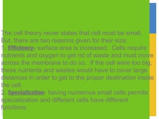 The cell theory never states that cell must be small.
But, there are two reasons given for their size:
1. Efficiency- surface area is increased. Cells require
nutrients and oxygen to get rid of waste and must move
across the membrane to do so. If the cell were too big,
these nutrients and wastes would have to cover large
distances in order to get to the proper destination inside
the cell.
2. Specialization- having numerous small cells permits
specialization and different cells have different
functions.
 