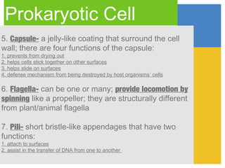 Prokaryotic Cell
5. Capsule- a jelly-like coating that surround the cell
wall; there are four functions of the capsule:
1. prevents from drying out
2. helps cells stick together on other surfaces
3. helps slide on surfaces
4. defense mechanism from being destroyed by host organisms’ cells

6. Flagella- can be one or many; provide locomotion by
spinning like a propeller; they are structurally different
from plant/animal flagella

7. Pili- short bristle-like appendages that have two
functions:
1. attach to surfaces
2. assist in the transfer of DNA from one to another
 
