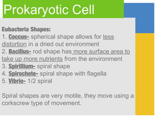 Prokaryotic Cell
Eubacteria Shapes:
1. Coccus- spherical shape allows for less
distortion in a dried out environment
2. Bacillus- rod shape has more surface area to
take up more nutrients from the environment
3. Spirillium- spiral shape
4. Spirochete- spiral shape with flagella
5. Vibrio- 1/2 spiral

Spiral shapes are very motile, they move using a
corkscrew type of movement.
 