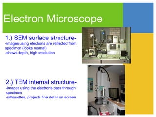 Electron Microscope
1.) SEM surface structure-
-images using electrons are reflected from
specimen (looks normal)
-shows depth, high resolution




2.) TEM internal structure-
-images using the electrons pass through
specimen
-silhouettes, projects fine detail on screen
 
