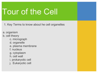 Tour of the Cell
1. Key Terms to know about he cell organelles

a. organism
b. cell theory
      c. micrograph
      d. organelle
      e. plasma membrane
      f. nucleus
      g. cytoplasm
      h. cell wall
      i. prokaryotic cell
      j. Eukaryotic cell
 