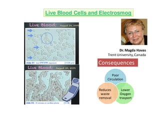 Live Blood Cells and Electrosmog




                               Dr. Magda Havas
                        Trent University, Canada

                   Consequences
                          Poor
                       Circulation

                   Reduces      Lower
                    waste      Oxygen
                   removal     trasport
 