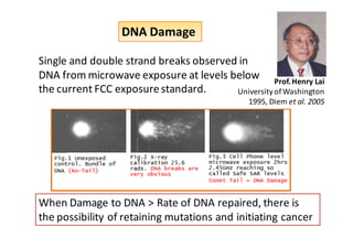 DNA Damage

Single and double strand breaks observed in
DNA from microwave exposure at levels below Prof. Henry Lai
the current FCC exposure standard.      University of Washington
                                               1995, Diem et al. 2005




When Damage to DNA > Rate of DNA repaired, there is
the possibility of retaining mutations and initiating cancer
 