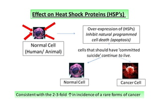 Effect on Heat Shock Proteins (HSP’s)

                                         Over-expression of (HSPs)
                                        Inhibit natural programmed
                                           cell death (apoptosis)
      Normal Cell
    (Human/ Animal)              cells that should have ‘committed
                                       suicide’ continue to live.




                          Normal Cell                    Cancer Cell

Consistent with the 2-3-fold ↑in incidence of a rare forms of cancer
 