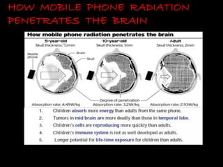HOW MOBILE PHONE RADIATION
PENETRATES THE BRAIN
 