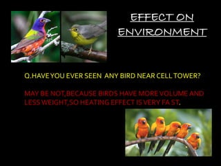 EFFECT ON
ENVIRONMENT
Q.HAVEYOU EVER SEEN ANY BIRD NEAR CELLTOWER?
MAY BE NOT,BECAUSE BIRDS HAVE MOREVOLUME AND
LESSWEIGHT,SO HEATING EFFECT ISVERY FA ST.
 