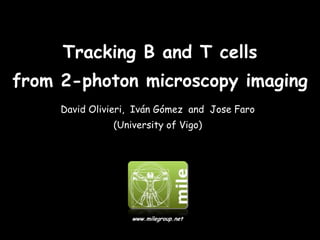 Tracking B and T cells
from 2-photon microscopy imaging
David Olivieri, Iván Gómez and Jose Faro
(University of Vigo)
www.milegroup.net
 