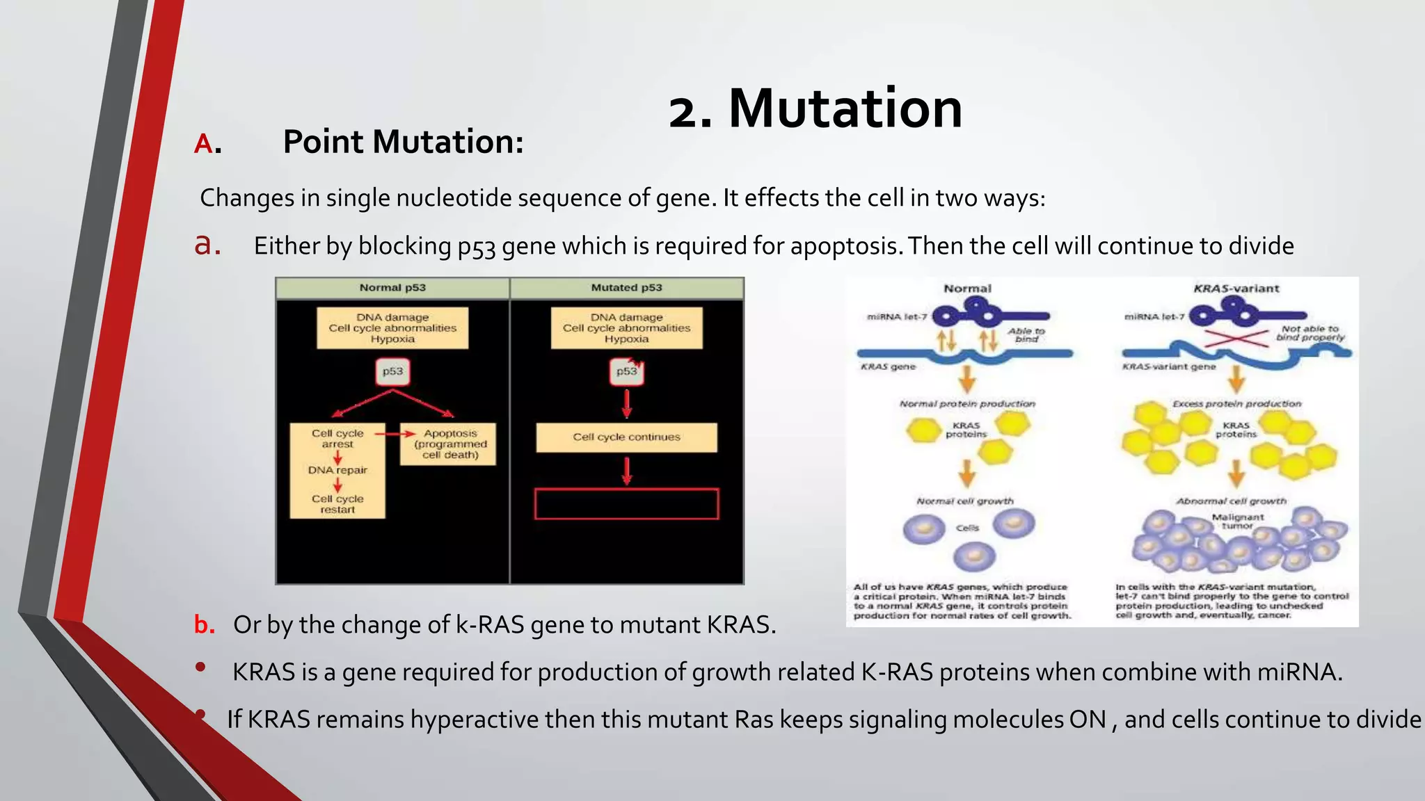 Cell transformation (how normal cell converted to cancerous cell) | PPT