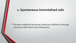 Cell transformation (how normal cell converted to cancerous cell) | PPTX