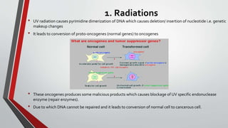 Cell transformation (how normal cell converted to cancerous cell) | PPTX