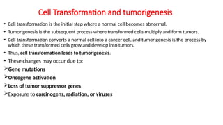 Cell Transformation and tumorigenesis.pptx