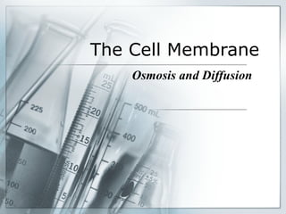 The Cell Membrane Osmosis and Diffusion 