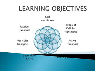 Cell
membrane
Types of
Cellular
transports
Active
transport
Primary Active
Secondary
Active
Vesicular
transport
Passive
transport
 