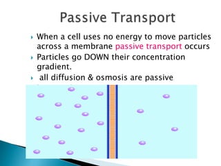  When a cell uses no energy to move particles
across a membrane passive transport occurs
 Particles go DOWN their concentration
gradient.
 all diffusion & osmosis are passive
transport.
 
