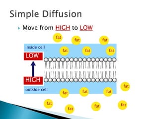  Move from HIGH to LOW
inside cell
outside cell
fat
fat
fat
fat
fat
fat fat
fat
fat
fat
fat
fat
fat
fat
LOW
HIGH
 