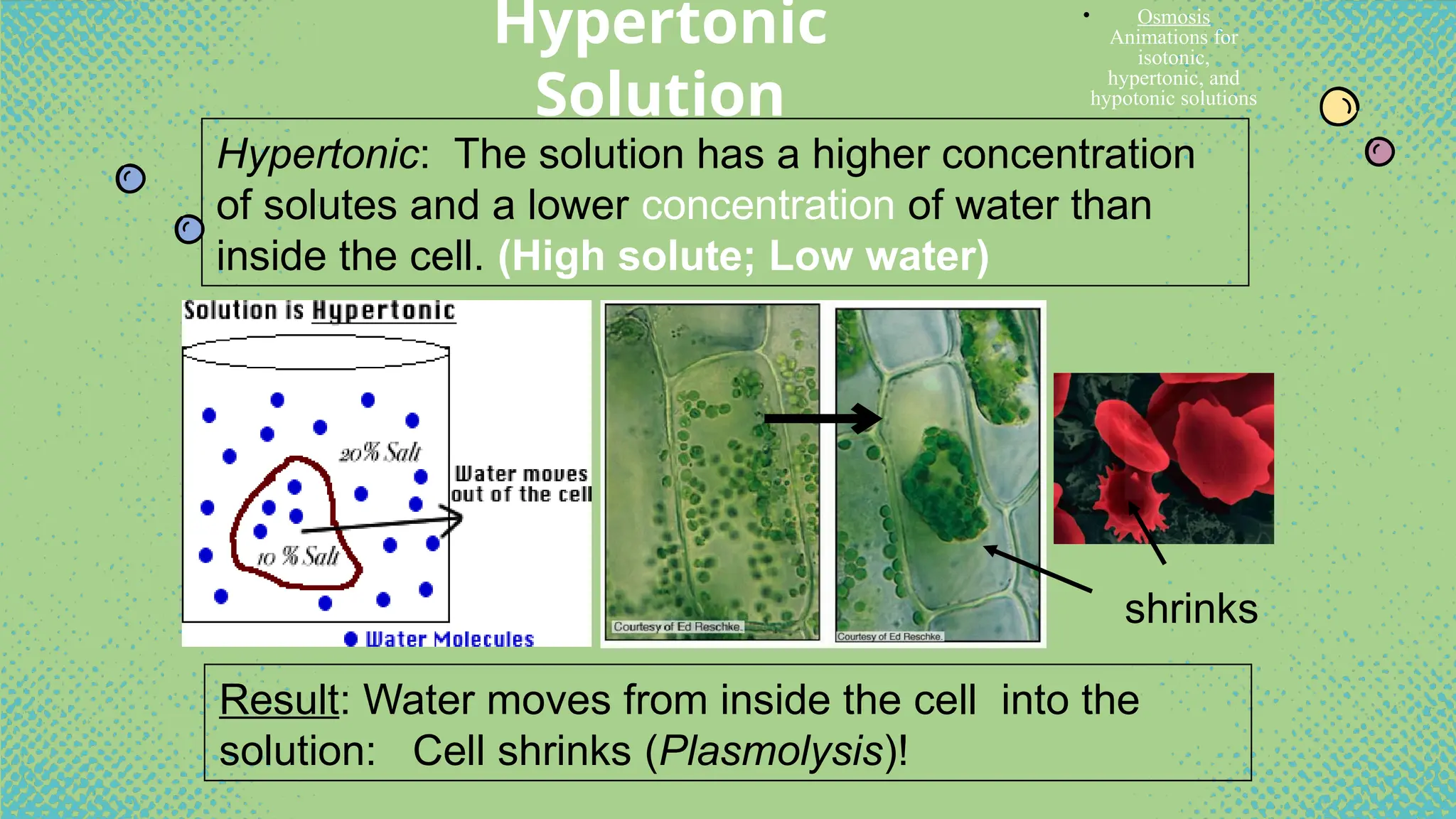 Biology Cell Transportation(complete).pptx