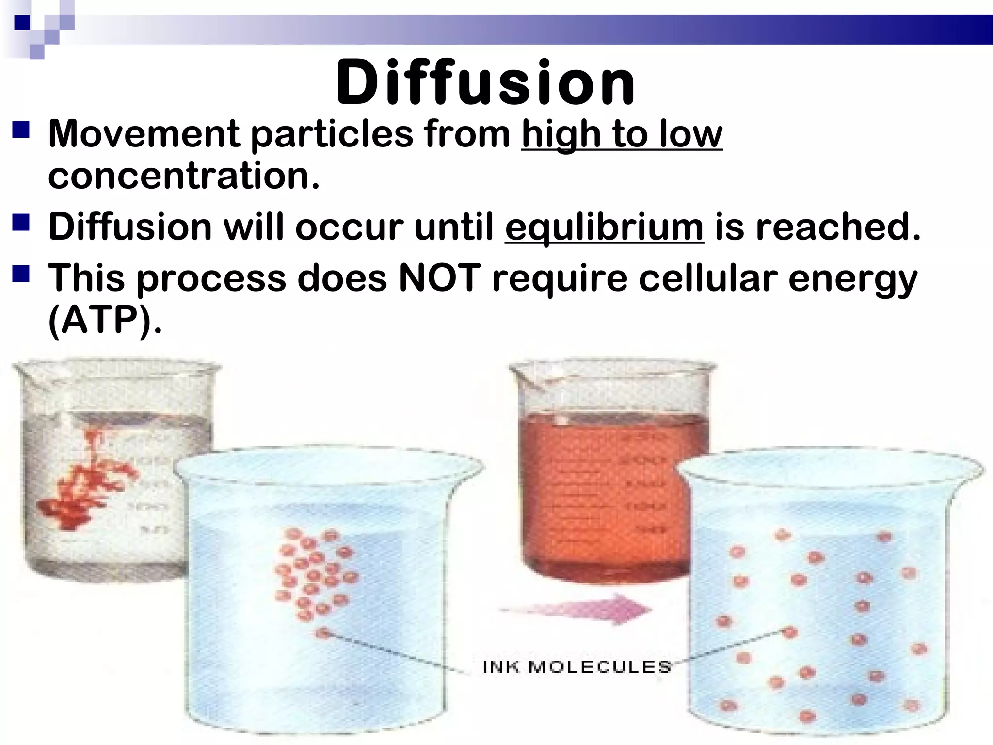 Cell transport.ppt n | PPT
