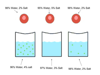 96% Water, 4% salt
98% Water, 2% Salt
97% Water, 3% Salt
95% Water, 5% Salt
98% Water, 2% Salt
98% Water, 2% Salt
 