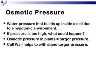 Osmotic Pressure
 Water pressure that builds up inside a cell due
to a hypotonic environment.
 If pressure is too high, what could happen?
 Osmotic pressure in plants = turgor pressure.
 Cell Wall helps to with stand turgor pressure.
 