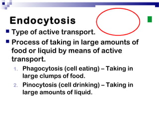 Endocytosis
 Type of active transport.
 Process of taking in large amounts of
food or liquid by means of active
transport.
1. Phagocytosis (cell eating) – Taking in
large clumps of food.
2. Pinocytosis (cell drinking) – Taking in
large amounts of liquid.
 