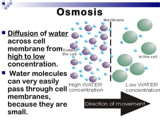 Osmosis
 Diffusion of water
across cell
membrane from
high to low
concentration.
 Water molecules
can very easily
pass through cell
membranes,
because they are
small.
 