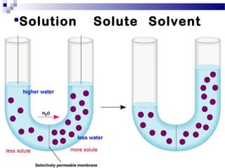 Solution Solute Solvent
 