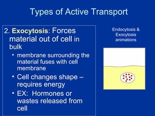 Cell Transport 1