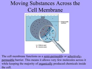 Moving Substances Across the
             Cell Membrane




The cell membrane functions as a semi-permeable or selectively-
permeable barrier. This means it allows very few molecules across it
while keeping the majority of organically produced chemicals inside
the cell.
 