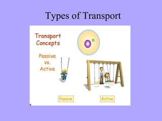 Types of Transport
 