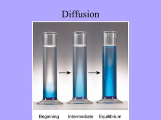Diffusion
 