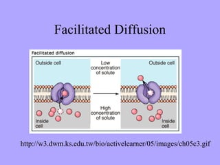 Facilitated Diffusion




http://w3.dwm.ks.edu.tw/bio/activelearner/05/images/ch05c3.gif
 