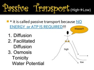 (HighLow)


 * it is called passive transport because NO
 ENERGY or ATP IS REQUIRED!!!              Weeee!!!


1. Diffusion
2. Facilitated
   Diffusion                      high
3. Osmosis
  Tonicity
                                               low
  Water Potential
 
