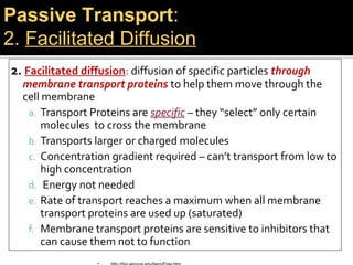 Passive Transport:
2. Facilitated Diffusion
2. Facilitated diffusion: diffusion of specific particles through
  membrane transport proteins to help them move through the
  cell membrane
   a. Transport Proteins are specific – they “select” only certain
       molecules to cross the membrane
   b. Transports larger or charged molecules
   c. Concentration gradient required – can’t transport from low to
       high concentration
   d. Energy not needed
   e. Rate of transport reaches a maximum when all membrane
       transport proteins are used up (saturated)
   f. Membrane transport proteins are sensitive to inhibitors that
       can cause them not to function
 