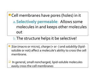  Cell membranes have pores (holes) in it

     a.Selectively permeable: Allows some
        molecules in and keeps other molecules
        out
     b. The structure helps it be selective!
   Size (macro or micro), charge (+ or -) and solubility (lipid-
    soluble or not) affect a molecule’s ability to cross the cell
    membrane.

   In general, small noncharged, lipid-soluble molecules
    easily cross the cell membranes
 