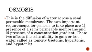 This is the diffusion of water across a semi-
permeable membrane. The two important
requirements for osmosis to take place are 1)
presence of a semi-permeable membrane and
2) presence of a concentration gradient. These
two affects the cell’s ability to gain or lose
water called as tonicity (isotonic, hypertonic,
and hypotonic).
 