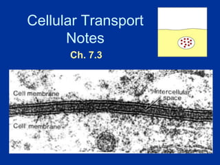 Cellular Transport
Notes
Ch. 7.3
 
