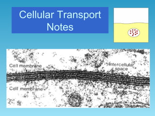 Cellular Transport
Notes
 