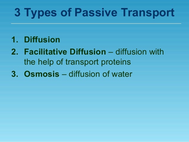 types of passive transport