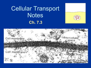 Cellular Transport Notes Ch. 7.3 