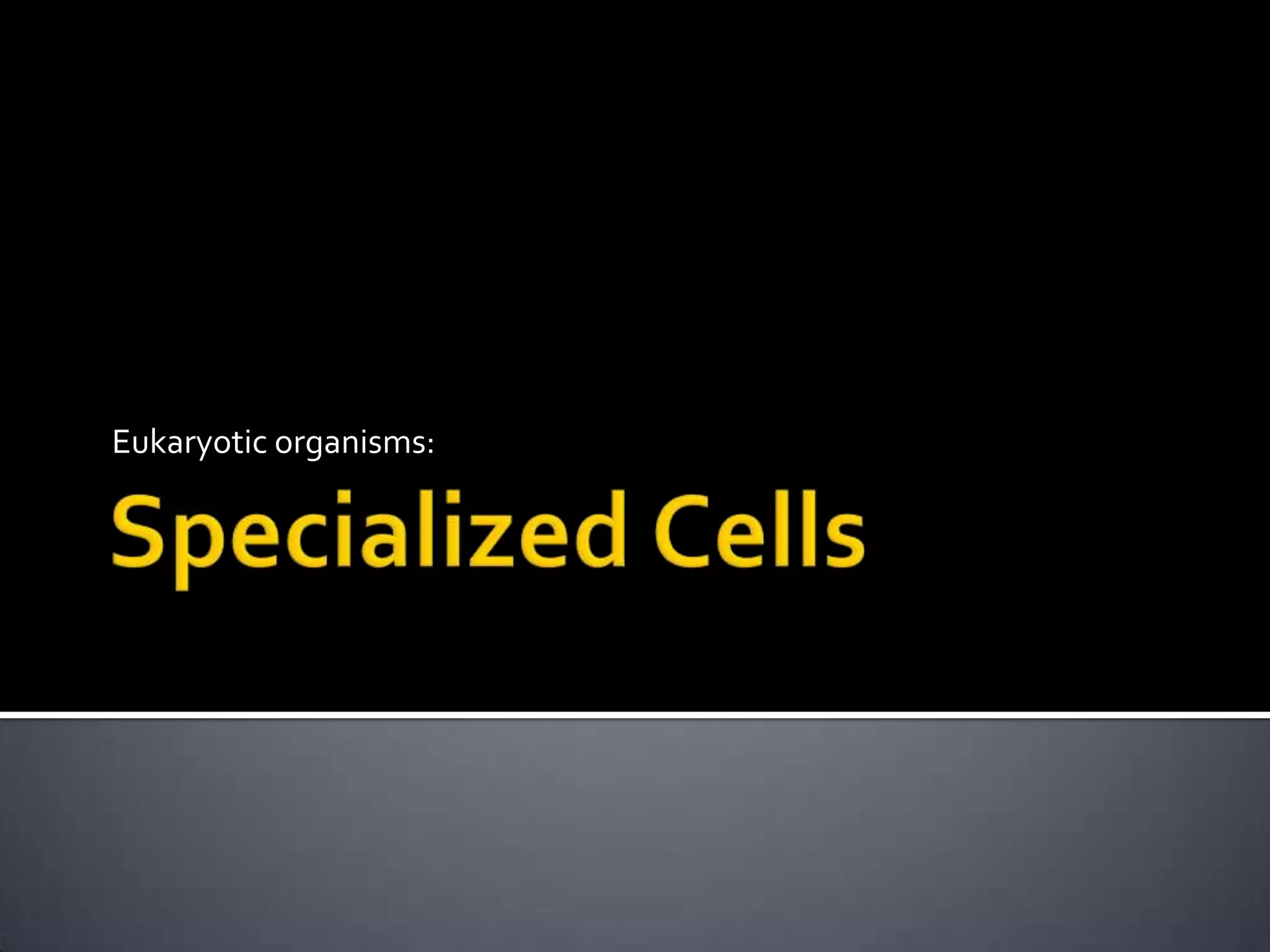 Specialized CellsEukaryotic organisms: