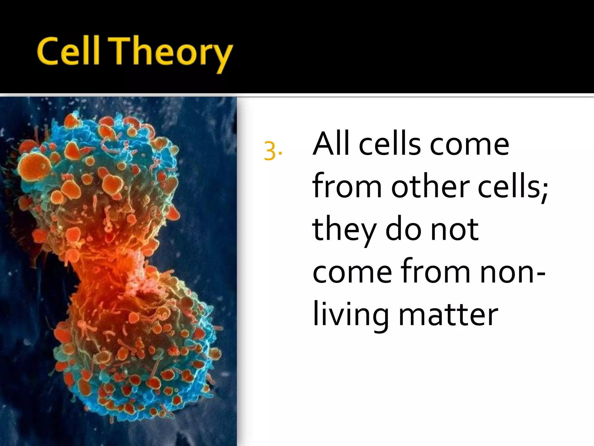 Cell TheoryAll cells come from other cells; they do not come from non-living matter