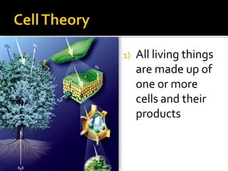 Cell Theory<br />All living things are made up of one or more cells and their products<br />