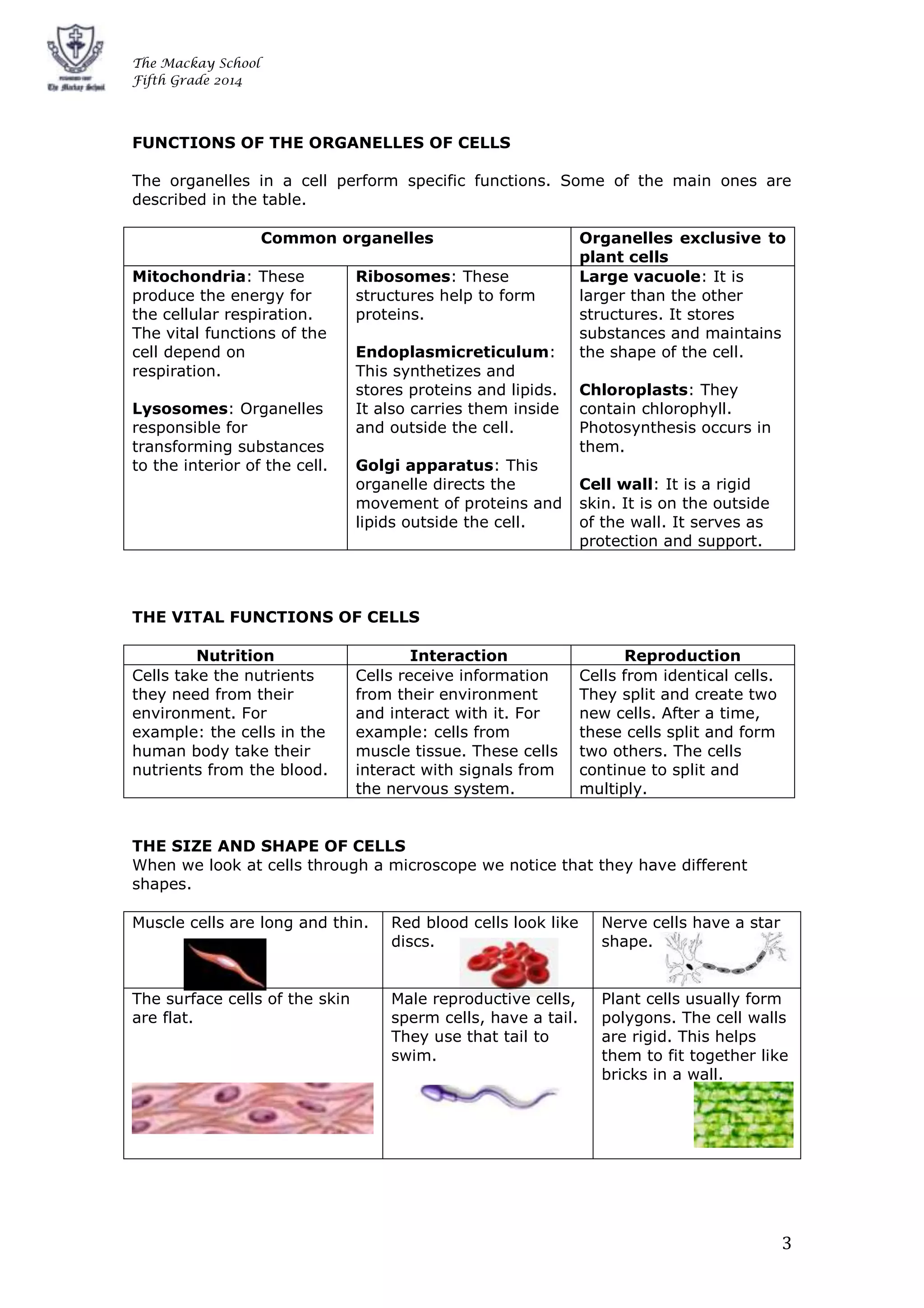 Cell types | DOCX