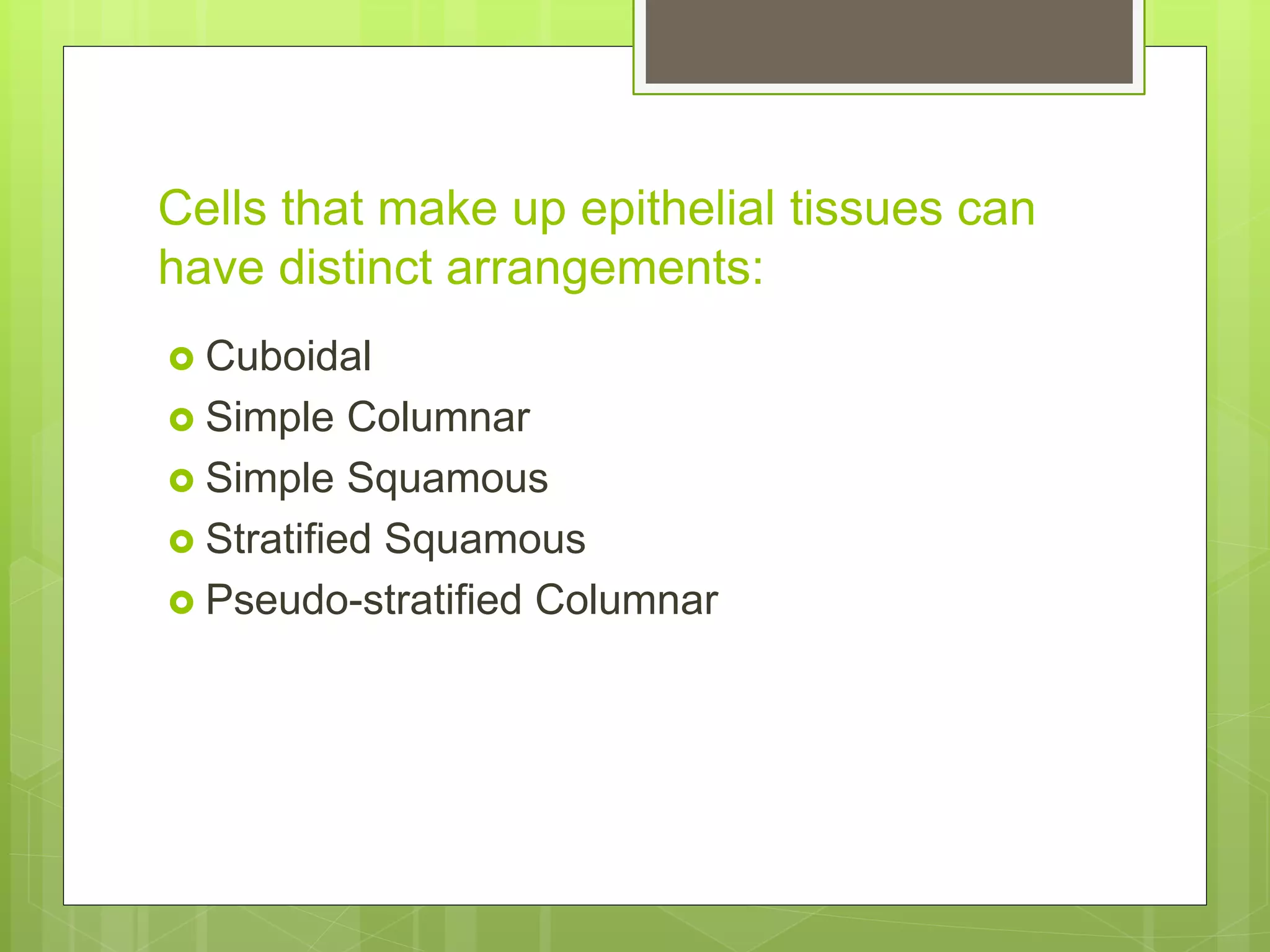 Cells that make up epithelial tissues can
have distinct arrangements:
 Cuboidal
 Simple Columnar
 Simple Squamous
 Stratified Squamous
 Pseudo-stratified Columnar
 