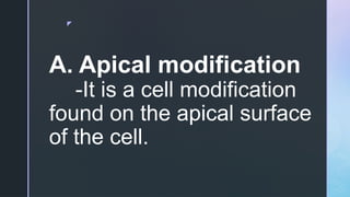 GEN. BIO 1 - CELL TYPES & CELL MODIFICATIONS | PPTX