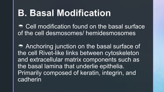 GEN. BIO 1 - CELL TYPES & CELL MODIFICATIONS | PPTX