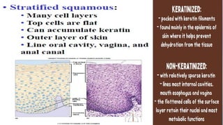Cell Types Gen Bio Module GEN. BIO 1 - CELL TYPES & CELL MODIFICATIONS | PPTX