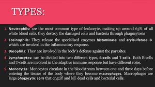 Cell Types & Functions Lab-3 for first year | PDF