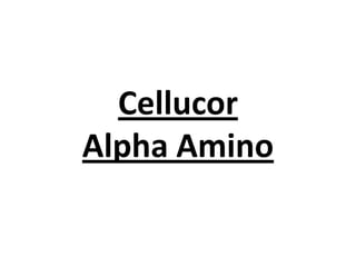 Cellucor
Alpha Amino

 